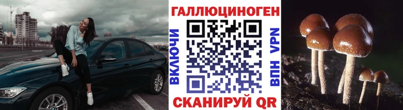 Купить  Мостовской  Галлюциногенные грибы Psilocybine cubensis 
